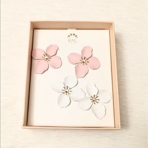 Earrings Set